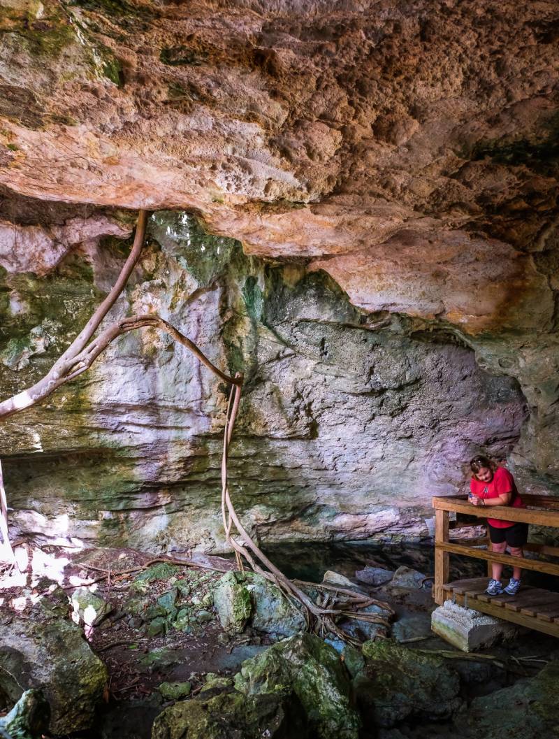 20171104_GB_Lucayan_Natl_Park_0007 (1)