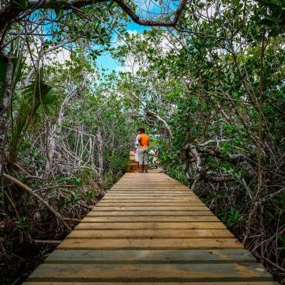 20171104_GB_Lucayan_Natl_Park_0018 20171104_GB_Lucayan_Natl_Park_0018