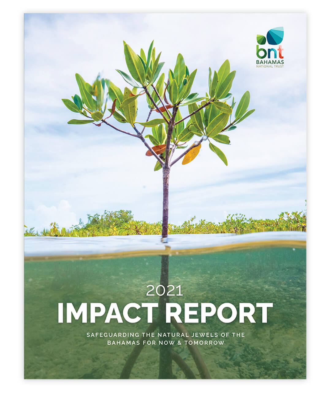 2021-Impact-Report-Cover 2