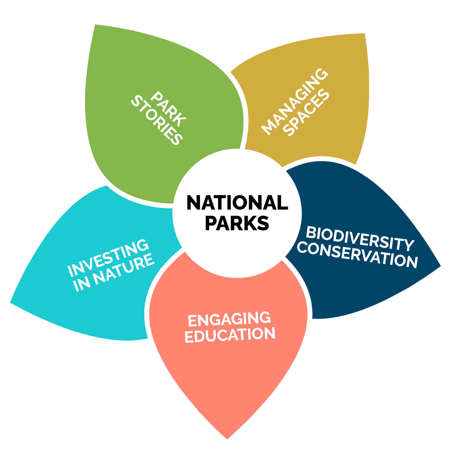 2021-Impact-Report-Flower-NP2