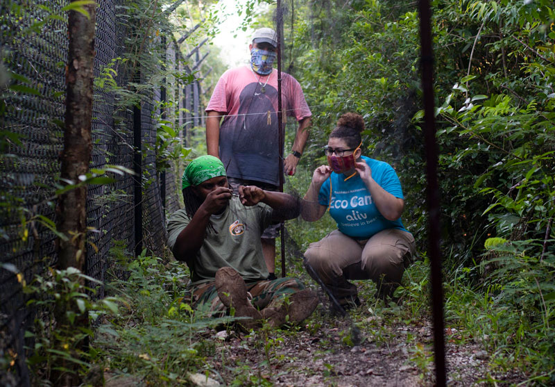 Banding-Team-resized