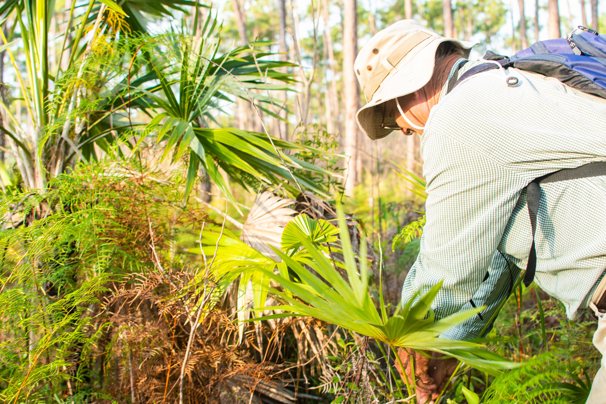 Empowering-Communities-for-Conservation-on-Abaco-16