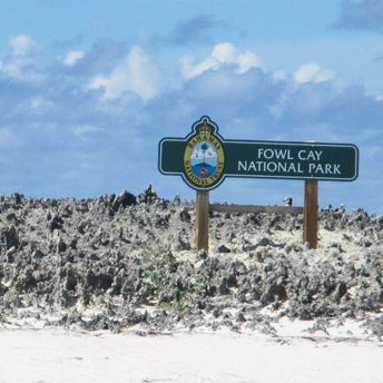 Fowl-Cay-National-Park-2 (1)