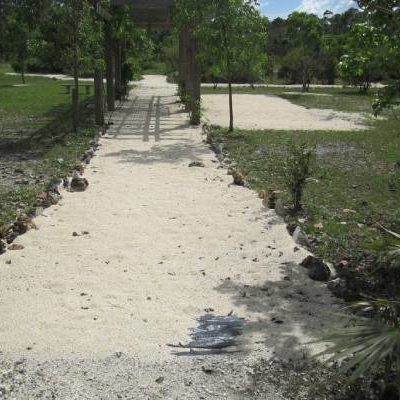 IMG_1604-1024x683 IMG_1604-1024x683