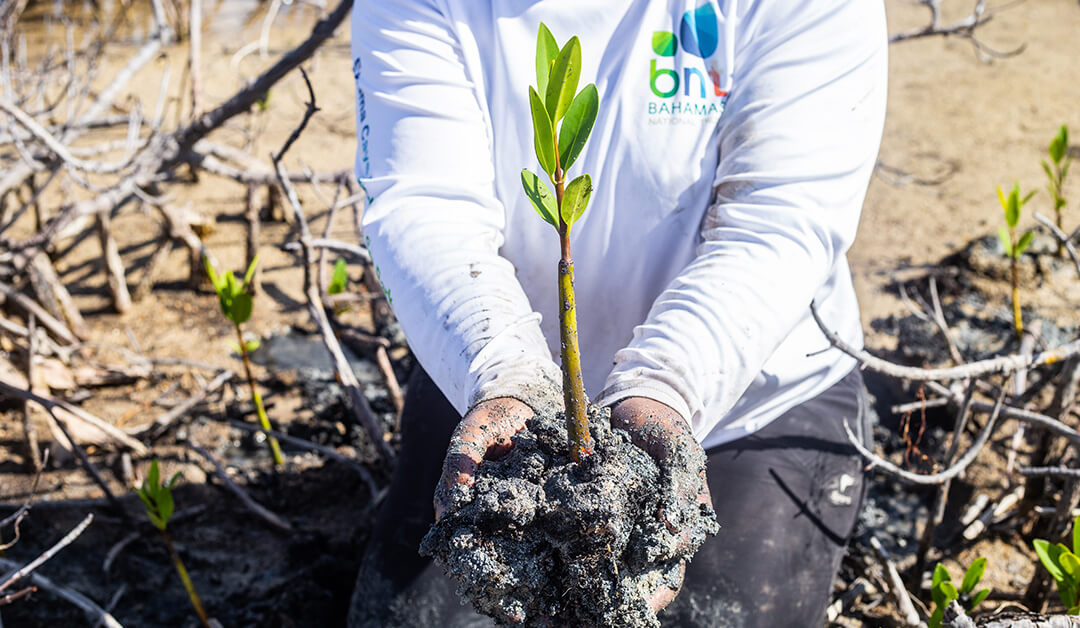 Impact-Report-10-Years-to-Restore