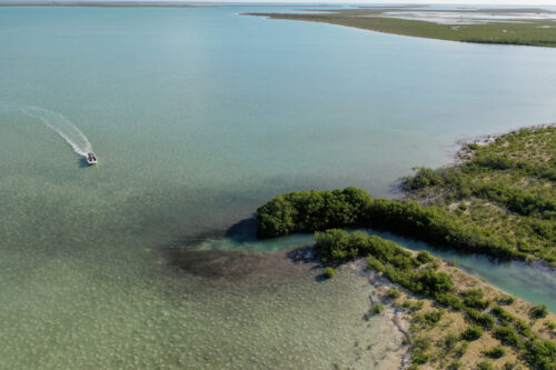 MC-Protecting-Mangroves-S6