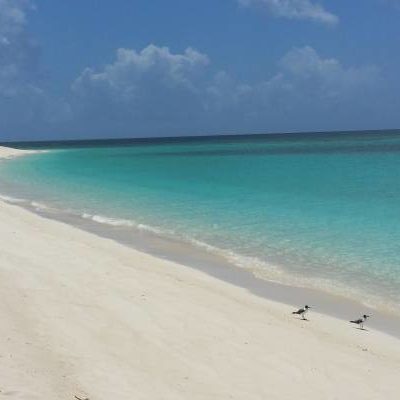 northvictoriahill_beach1