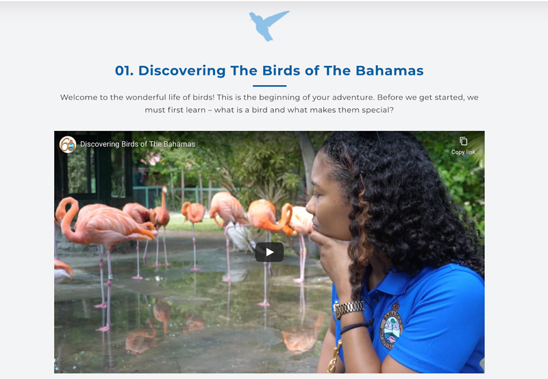 Screenshot-2020-10-29-at-1