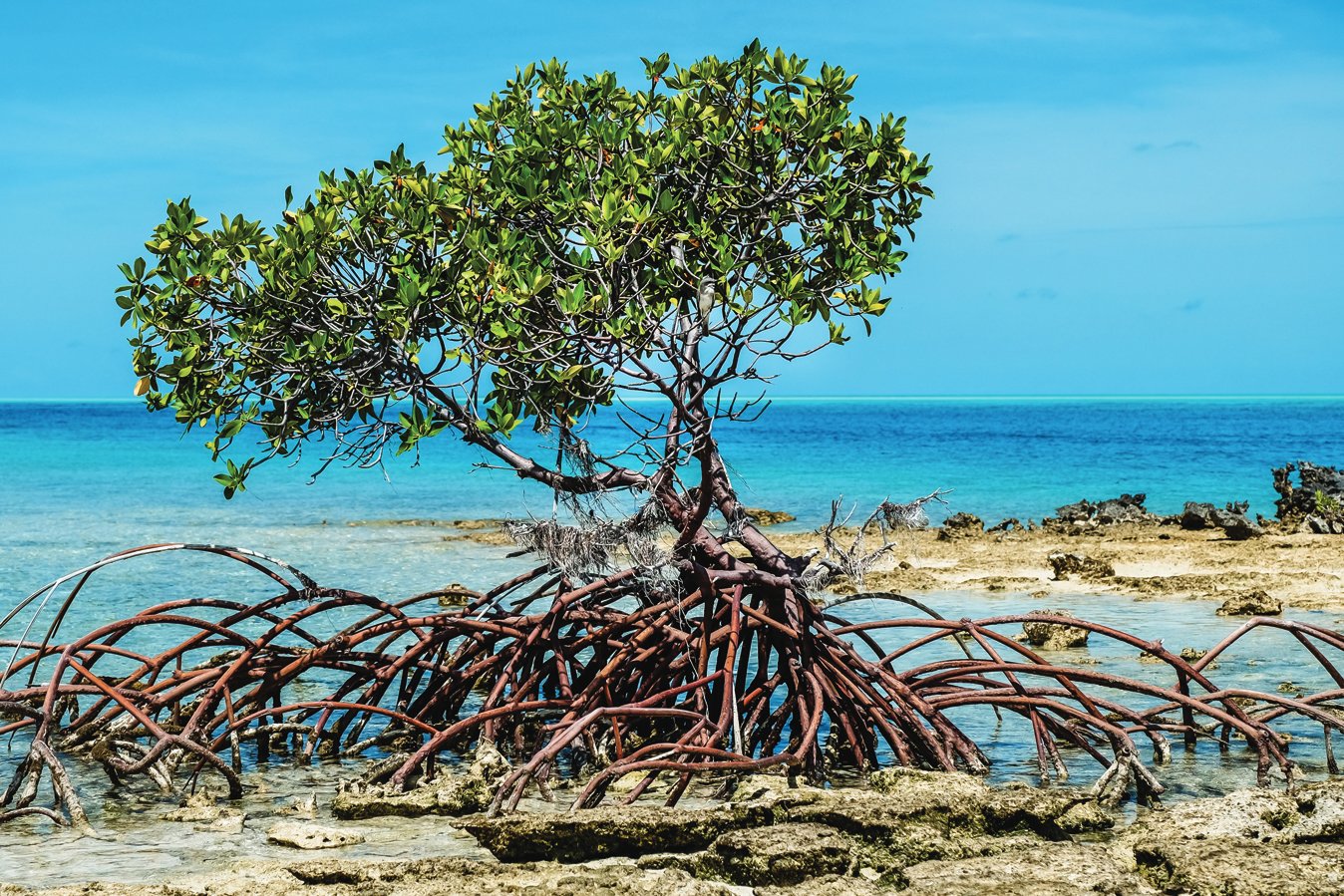 Southen Great Lake National Park 2 3x5 (1)