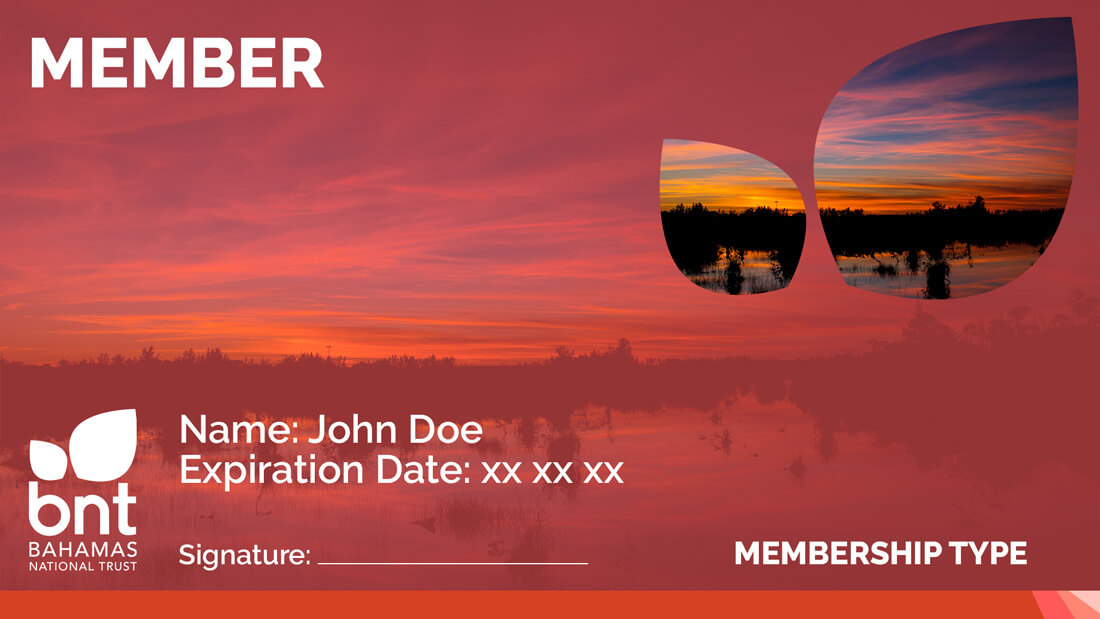 Sunset-at-Pride-Estates-Membership-Card-copy