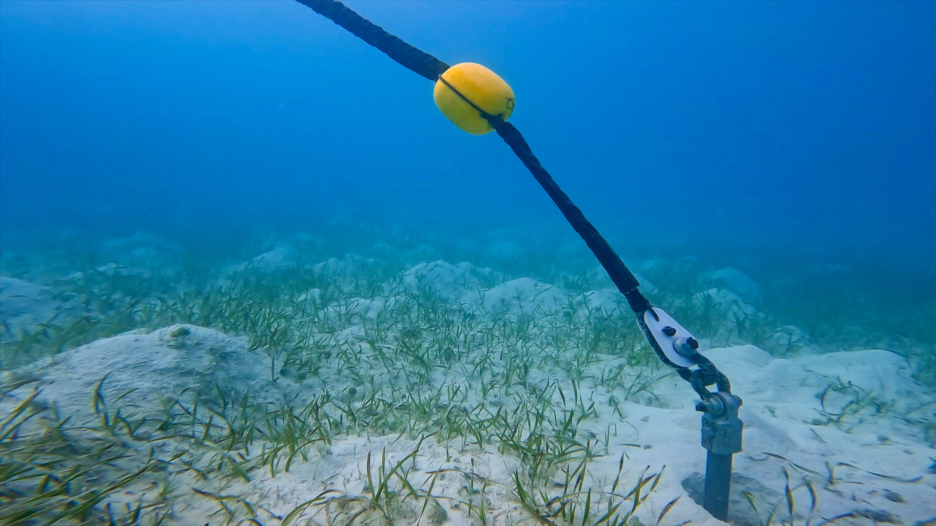 Underwater-image-of-mooring