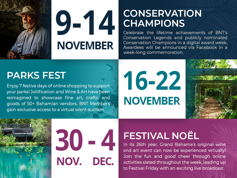 Upcoming-Events-Graphic